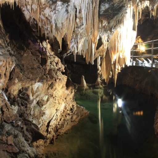 SU MANNAU - IL RAMO TURISTICO - IL LAGHETTO DEGLI STENASELLUS 