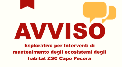 Avviso esplorativo per Interventi di mantenimento degli ecosistemi degli habitat ZSC Capo Pecora